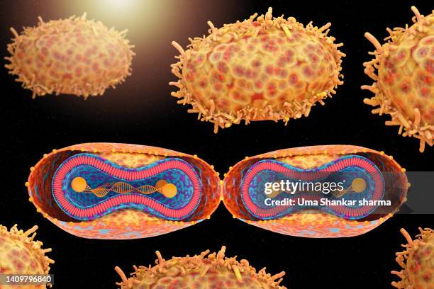 monkeypox mutant structure - infectious mononucleosis stock pictures, royalty-free photos & images