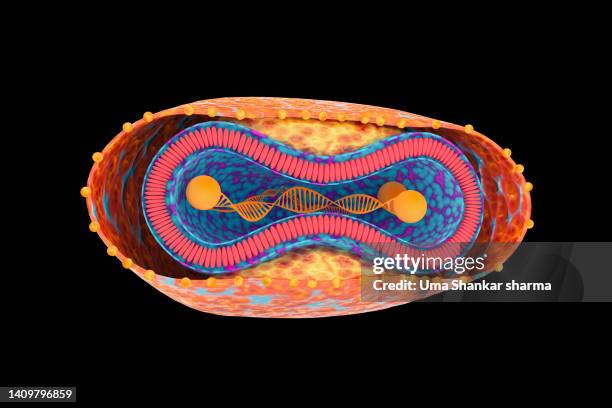 monkeypox - prokaryote stock pictures, royalty-free photos & images