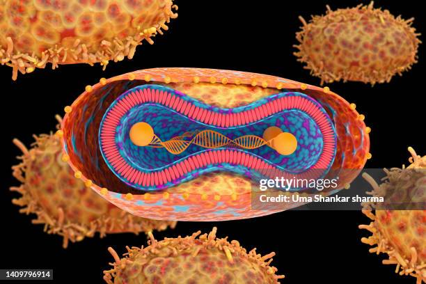monkeypox structure - infectious mononucleosis stock pictures, royalty-free photos & images