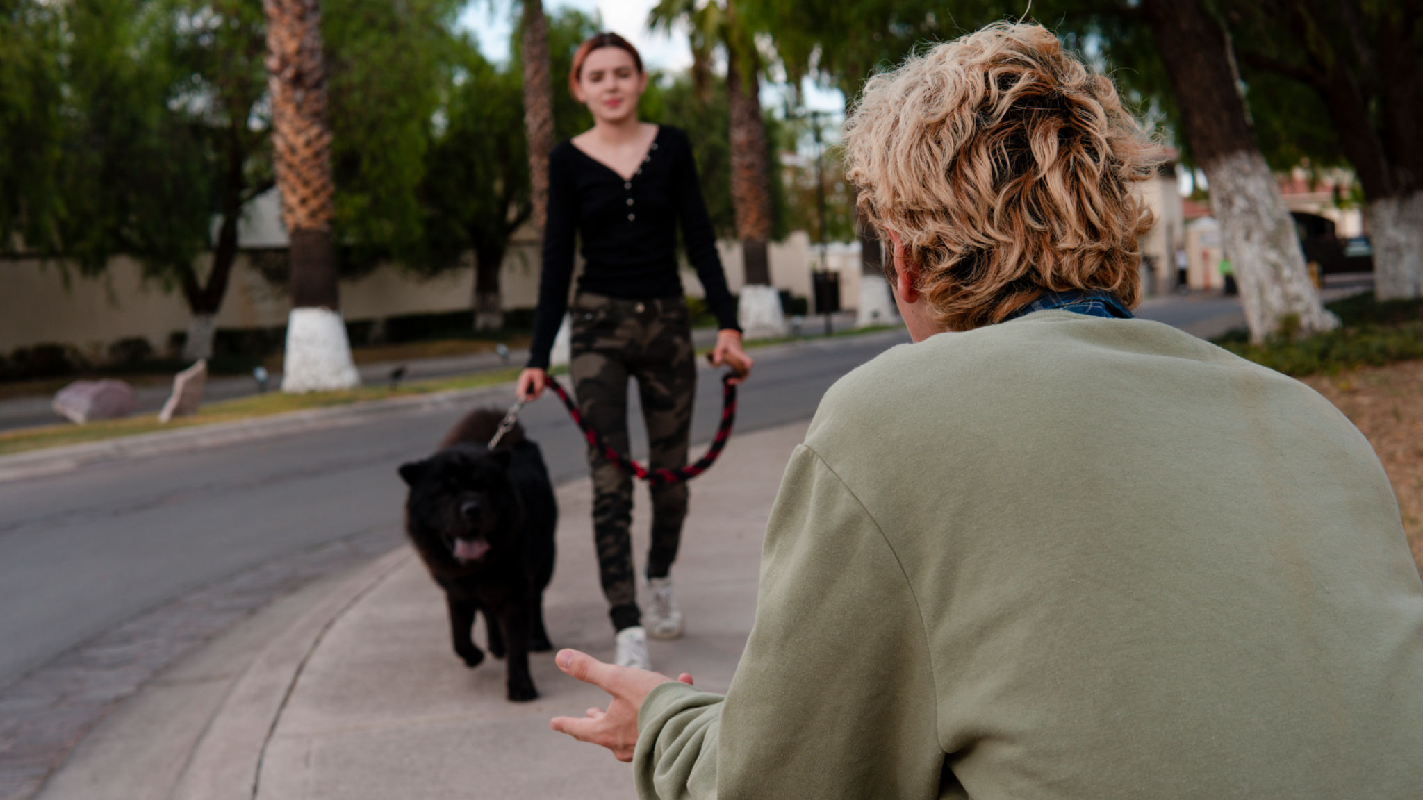 dog walker interview