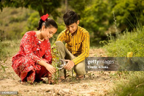 siblings watering plant on field - world earth day in india stock pictures, royalty-free photos & images