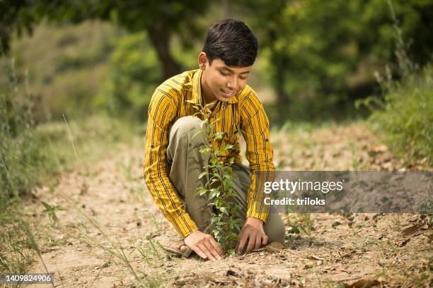 boy planting on rural field - world earth day in india stock pictures, royalty-free photos & images