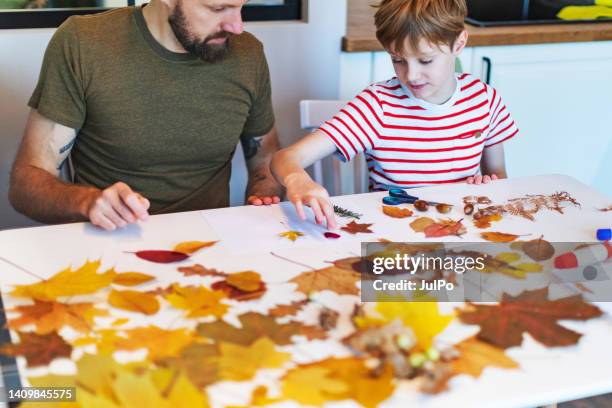 father helping son with homework for school - herbarium stock pictures, royalty-free photos & images
