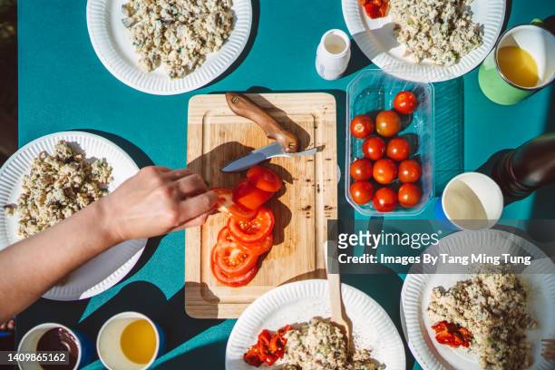 directly above view of woman preparing vegetarian breakfast for family and friends on camping table during camping trip - paper plate 個照片及圖片檔