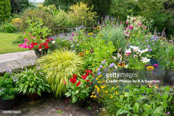front garden full of colourful potted plants in mid summer - arredamento da giardino foto e immagini stock