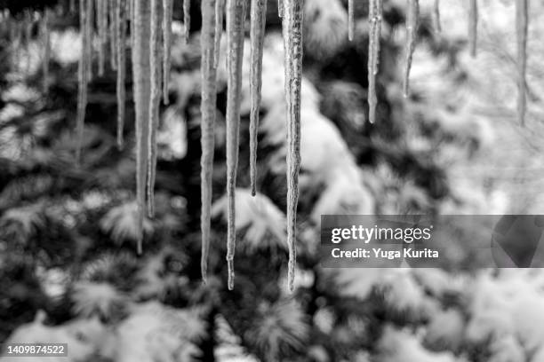 icicles under the eave with snowy trees in the background - つらら ストックフォトと画像