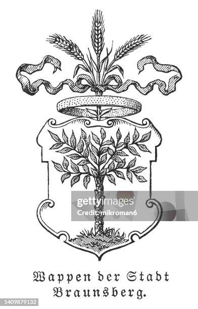 old engraved illustration of braniewo (braunsberg) coat of arms - town in northern poland, in warmia, in the warmian-masurian voivodeship - crest logo stock pictures, royalty-free photos & images