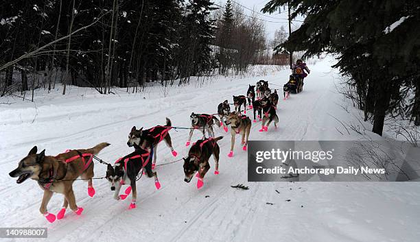 DeeDee Jonrowe leaves the checkpoint in Nikolai, Alaska, during the Iditarod Trail Sled Dog Race on Tuesday, March 6, 2012.