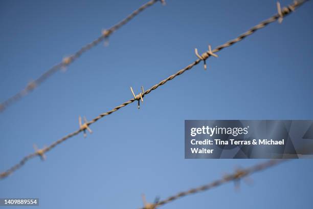 low angle view of barbed wires against clear  bleu sky. - barbed wire fencing stock pictures, royalty-free photos & images