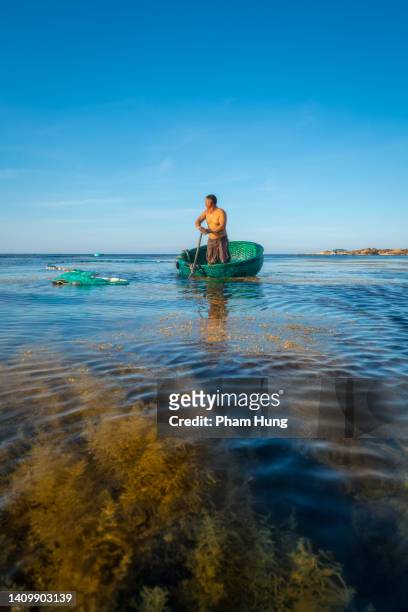 netzfische auf dem algenbereich - asian fishing boat stock-fotos und bilder