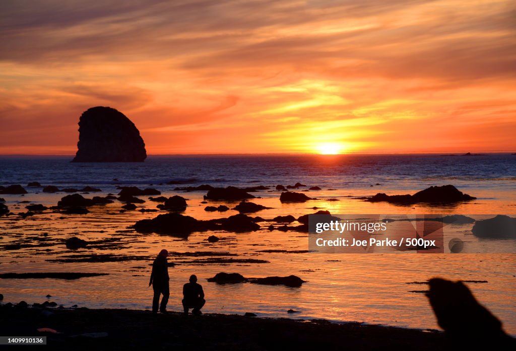 Silhouette of people at beach against sky during sunset