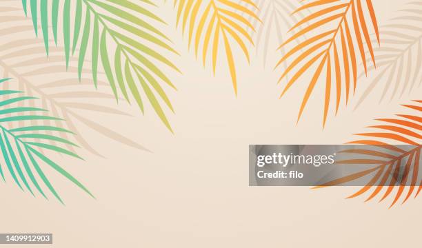palm tree summer warm background banner - palm leaves stock illustrations