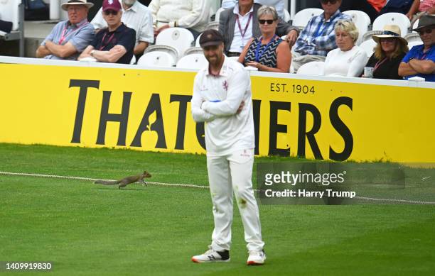 Jack Leach of Somerset looks on as a squirrel runs around the edge of the pitch during Day Two of the LV= Insurance County Championship match between...