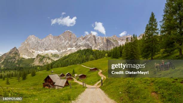 young woman sitting on bench and enjoys view from neustattalm at dachstein mountain - styrka stock pictures, royalty-free photos & images