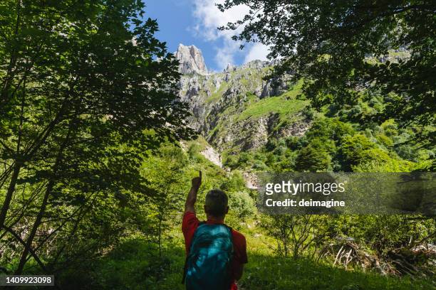hiker pointing the direction from the top of the hill - aiming higher stock pictures, royalty-free photos & images