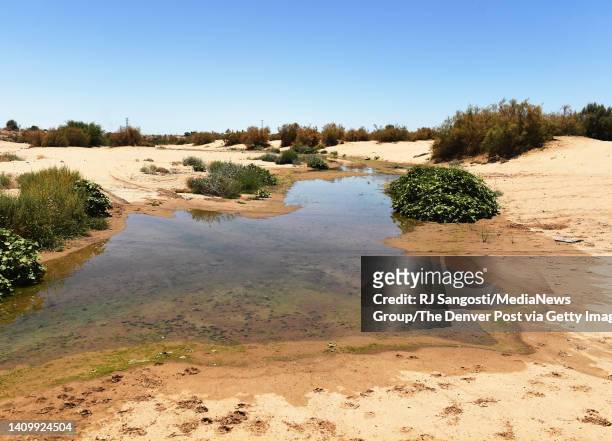Colorado River runs out of water after crossing into Mexico on July 6, 2022 in Mexicali, Baja California. The rivers natural path becomes only sand...