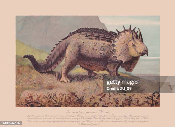 triceratops prorsus, chromolithograph, published in 1900 - triceratops prorsus stock illustrations