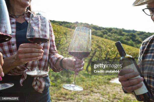 wine tasting relax after grape harvesting in the wineyard - trentino stock pictures, royalty-free photos & images