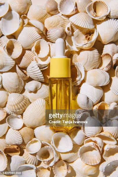 bottle of cosmetic product with suntan lotion from sunburn against the background of shells. beauty products for anti-aging care, moisturizing and cleansing. - parte del corpo animale foto e immagini stock