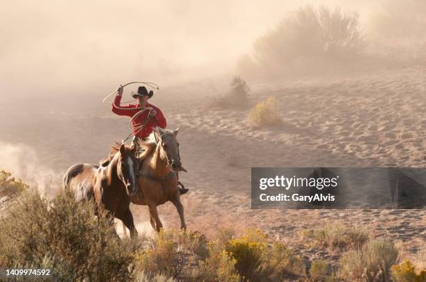 herd horses by horseback - vaqueros stock pictures, royalty-free photos & images