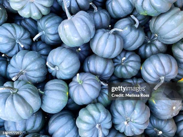 Small Ripe Squash 47 Ripe Acorn Squash Stock Photos, High-Res Pictures, and Images ...