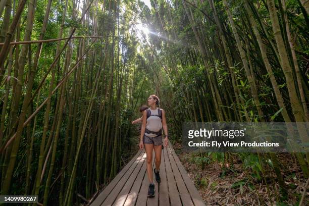 woman hiking through tropical forest with toddler on her back in baby carrier - snap imagens e fotografias de stock