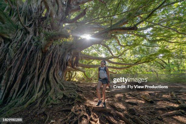 woman hiking under banyan tree while carrying sleeping toddler daughter - ficus tree stock pictures, royalty-free photos & images