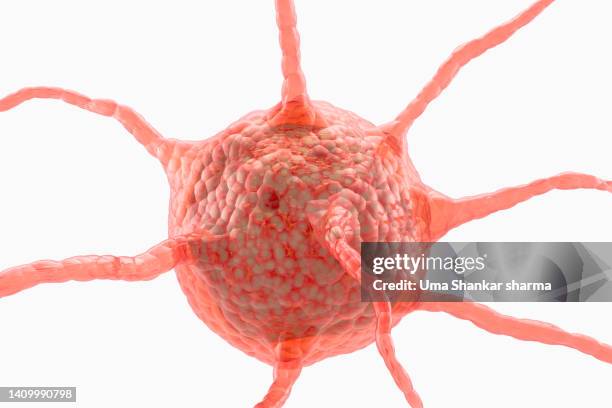 nerve cell - motion sickness stock pictures, royalty-free photos & images