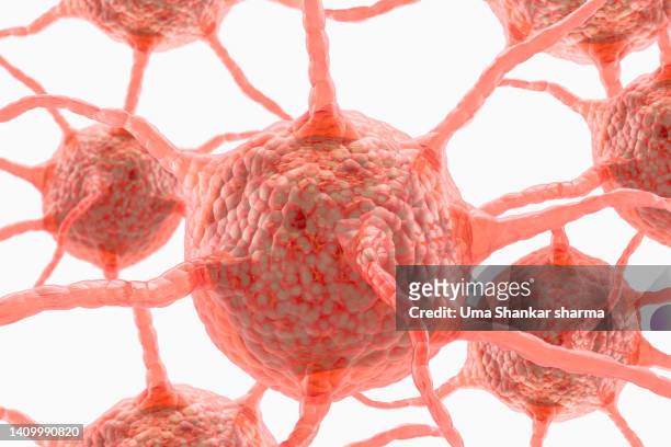 nerve cells - brain stem imagens e fotografias de stock