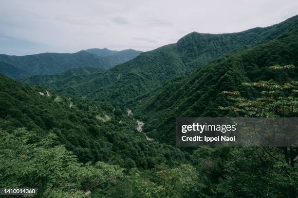 mountain in summer, niigata, japan - satoyama scenery stock-fotos und bilder