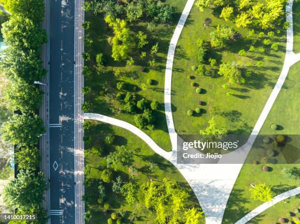 road in the park - aerial park stockfoto's en -beelden