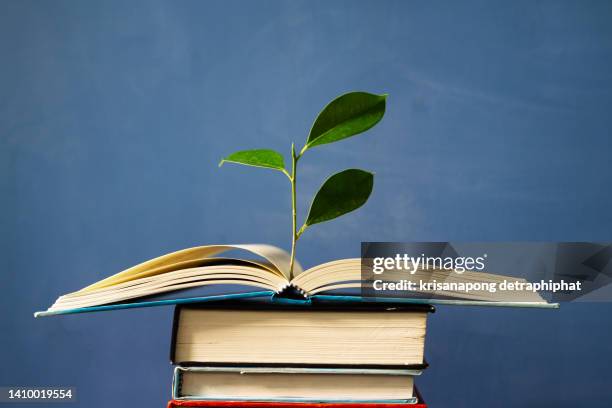 education concept,book and tree - literature fotografías e imágenes de stock