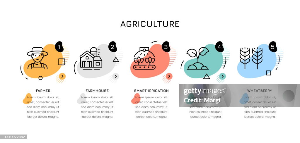 Agriculture Infographic Concepts