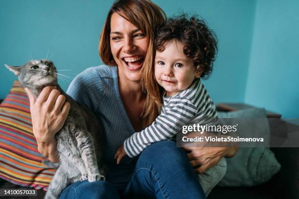 mother and son having fun with their cat at home. - cat laughing stock pictures, royalty-free photos & images