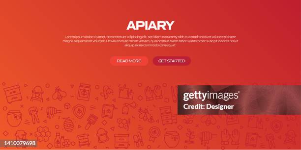 apiary web banner with linear icons, trendy linear style vector - bees pollinating stock illustrations