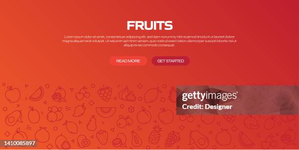 fruits web banner with linear icons, trendy linear style vector - peach cocktail stock illustrations