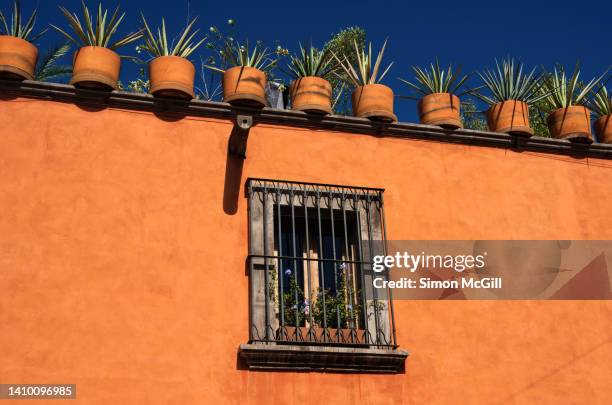 colonial style house with agave plants in terracotta pots along its roof line - terracotta fotografías e imágenes de stock