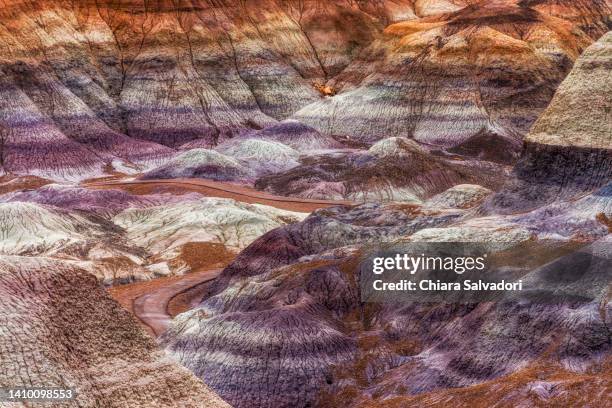 the colorfull badlands of blue mesa - parque nacional da floresta petrificada - fotografias e filmes do acervo