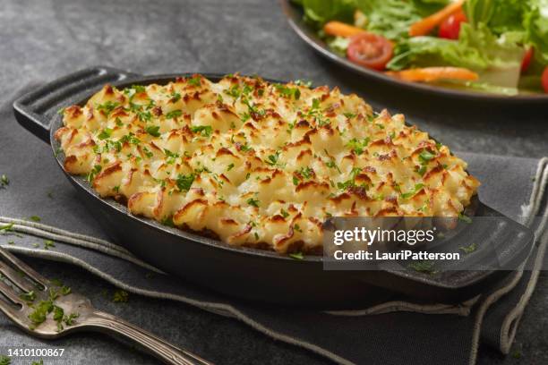 classic shepherd's pie - cultura inglesa imagens e fotografias de stock