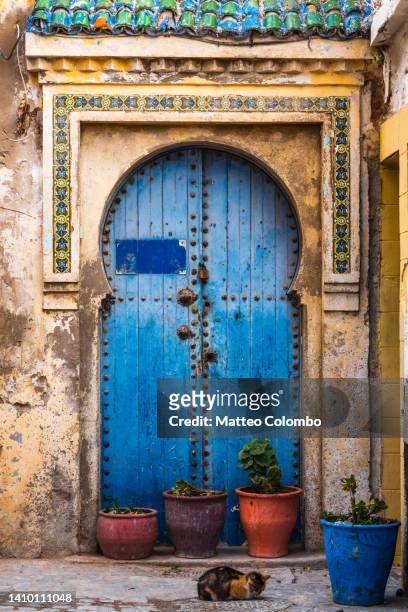 blue old door in essaouira, morocco - essaouira photos et images de collection