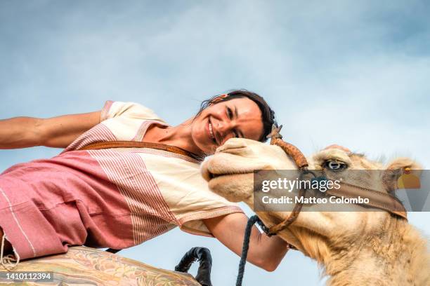 smiling woman with camel, morocco - north africa photos et images de collection