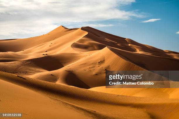dunes in the sahara desert, merzouga, morocco - sahara desert stock-fotos und bilder