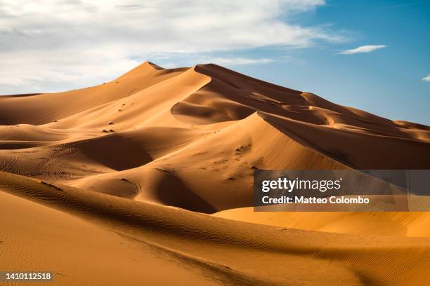 dunes in the sahara desert, merzouga, morocco - desert photos et images de collection