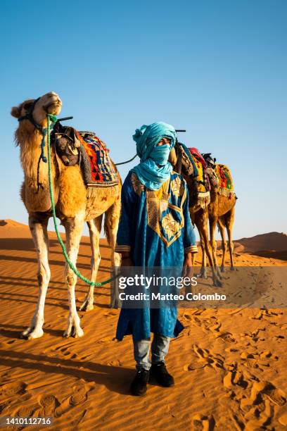 man and camels in the desert, morocco - north africa landscape stock pictures, royalty-free photos & images