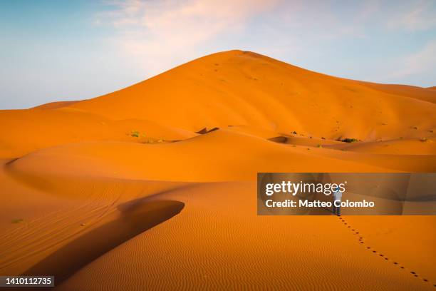 tourist walking in the sahara desert, morocco - merzouga stockfoto's en -beelden