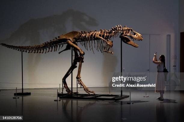 Woman takes a photo of a Gorgosaurus Skeleton on display during a press preview at Sotheby’s on July 21, 2022 in New York City. The skeleton, which...