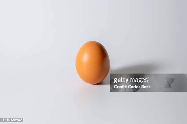 egg farm - 卵 ストックフォトと画像