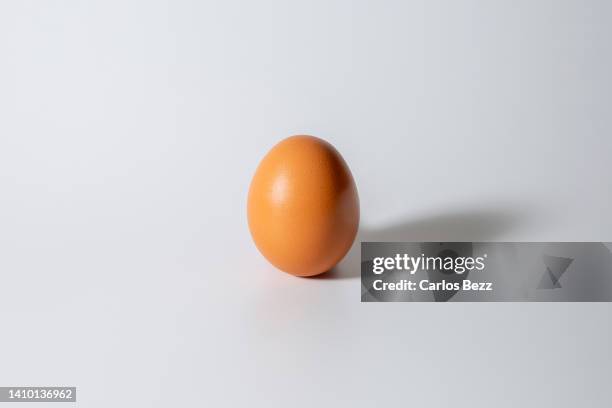 egg farm - egg stock pictures, royalty-free photos & images