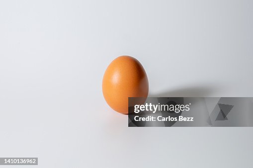 Egg farm Egg farm