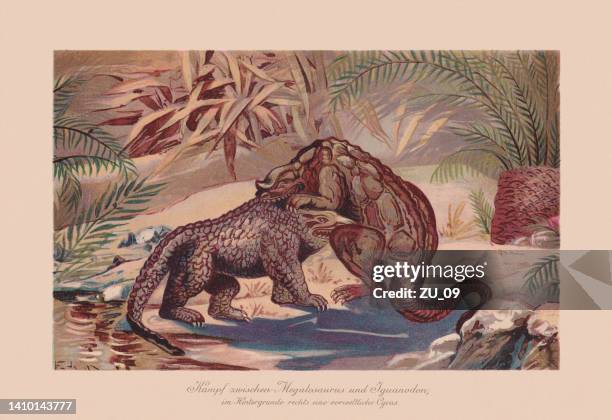 megalosaurus and iguanodon, jurassic and cretaceous peruiod, chromolithograph, published in 1900 - megalosaurus stock illustrations